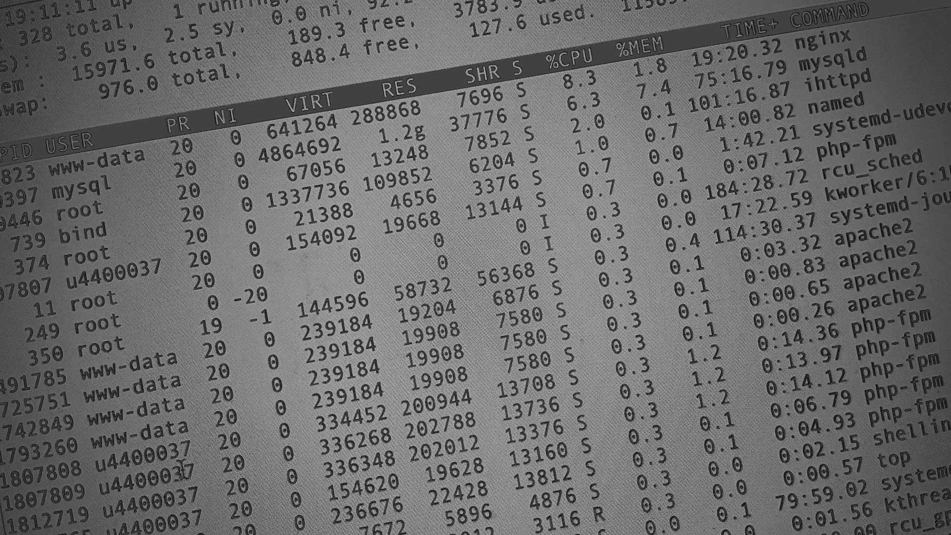 Настройка сервера в Калачинске